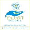 yajavi.com